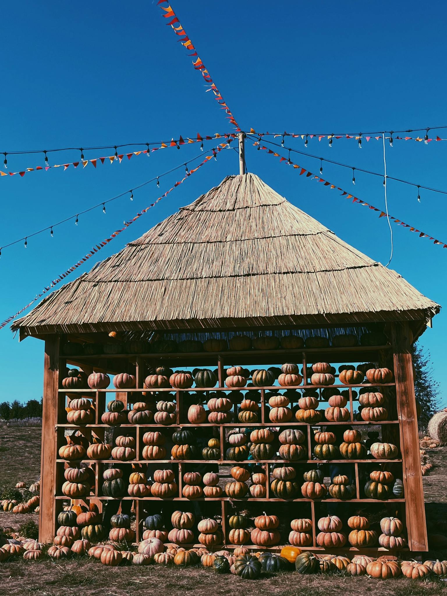 A wooden stand filled with pumpkins beneath a straw roof, outdoors in autumn.