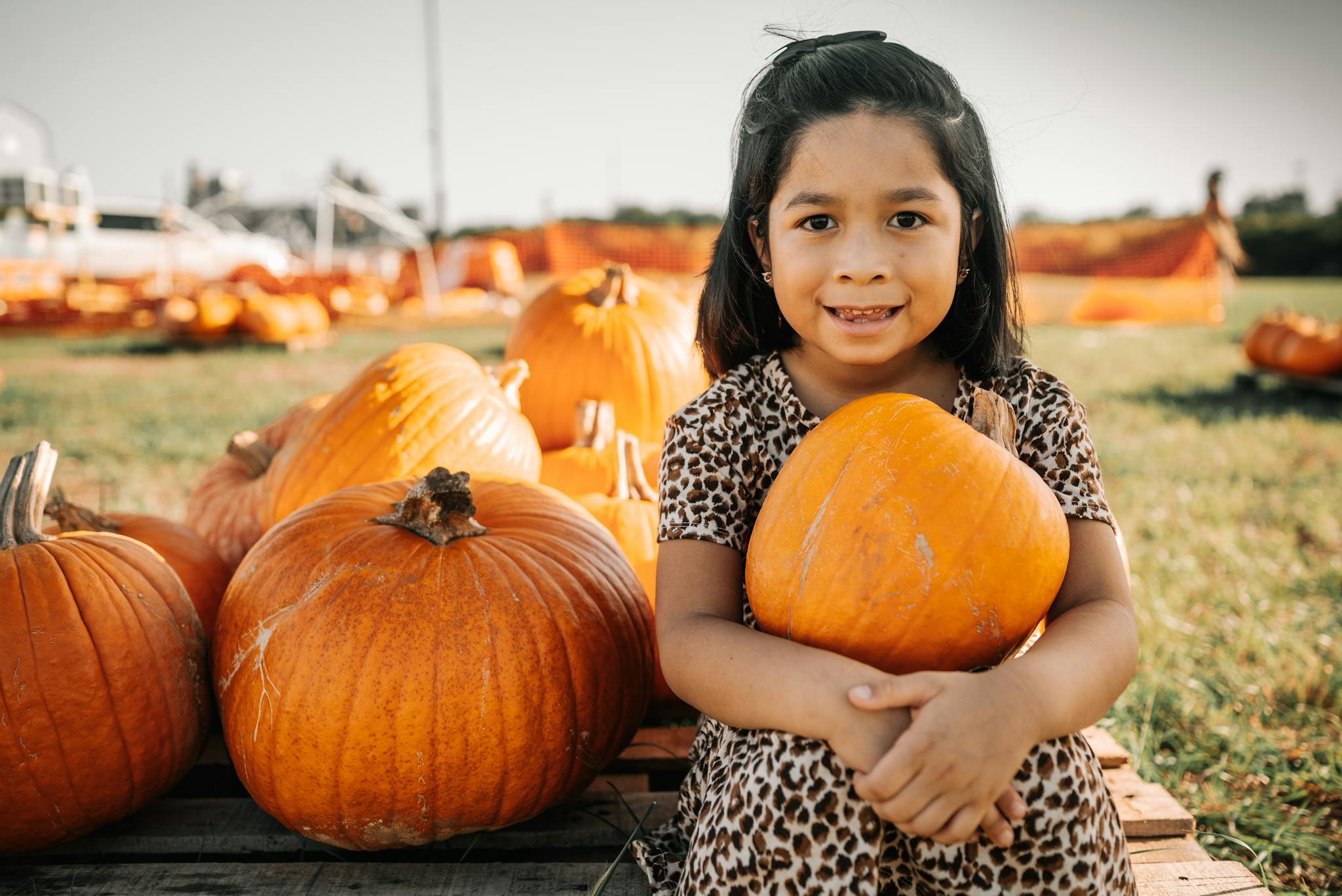 A young girl sits among pumpkins at an outdoor pumpkin patch, enjoying a sunny fall day.